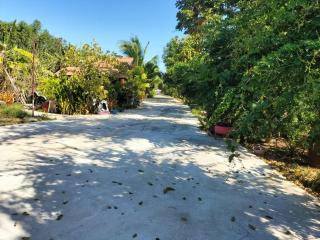 Green moon Home stay 52 - 3