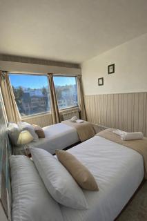 Energías del Nahuel - 5