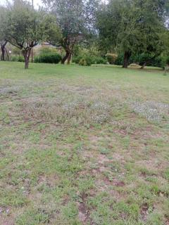 Casa Los Hornillos - 1