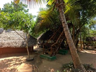 Thumbaya Resort Yala - 9