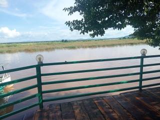 Enjoy camping in our beautiful paradise! - 5