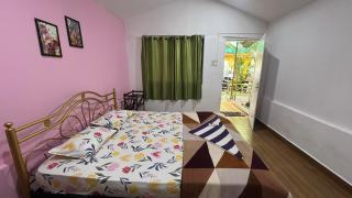 Nature of Arambol - 1