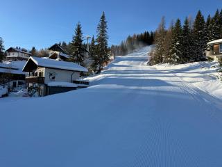 Chalet Heinrich Ski in & Ski out - Apartment Bergblick - 9