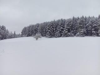 Waldviertel-Auszeit - 5