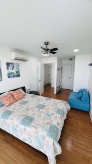 Paraiso Caribeño 706 - 9