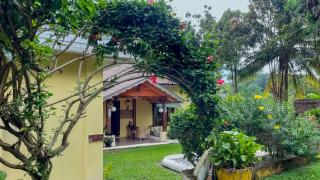 Sumatra Cheeky Monkeys - 0