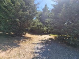 Los descendientes - 4