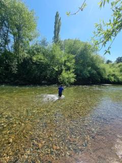 Los descendientes - 1