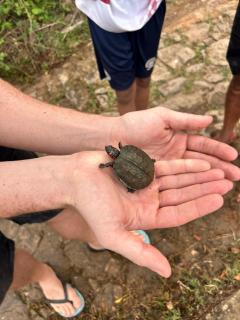 Mayka's luxury holiday homes and Safari Thanamalwila - 9