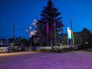 Tiny Wood Cottage 15 - 5