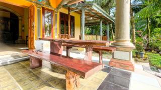 Sumatra Cheeky Monkeys - 8