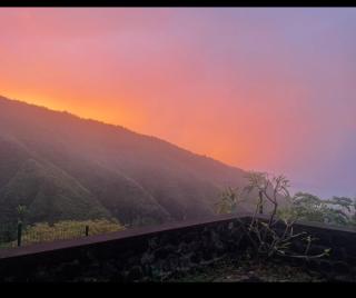 Calme absolu! T2 avec jardin et vue mer et montagne - 7
