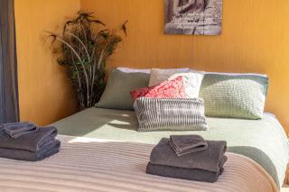 Perrys South by Tiny Away - 5