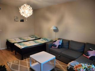 Spacious apartment with balcony and free WiFi - 2