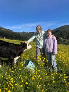 Harbour Hideaway - 2