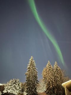 Nordic luxury Villa in Ounasvaara with Sauna - 8