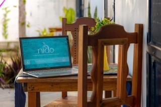 Apartment with parking and garden - 6