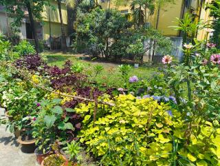 Anjali Homestay - 10 mins from airport - 6