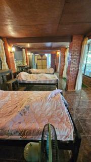 House in the Forest Doisaket - 1