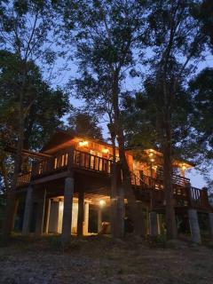 three little birds 2 bedroom บ้านไม้กลางสวน - 5