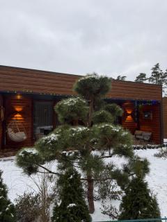 Гостевой комплекс "Дядя Саша" - 8