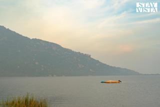 StayVista at Verdant with Pool & Lawn - 6