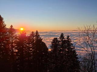 Quiet room in Montreux city center with mountain view - 1