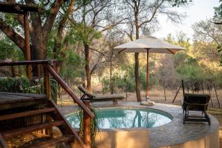 Karongwe - Kuname Safari Lodge - 8