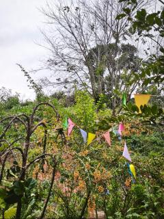 Nhà gỗ Ngỏ Nhỏ - 5