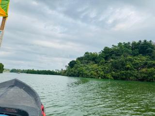 Saki Villa, boat tours & sea food with rotti - 8