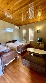 Garden Sheki Hotel - 8