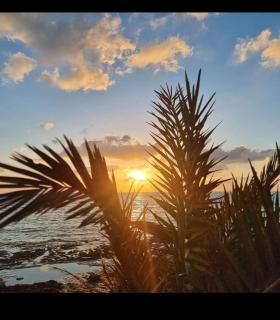 Villa au bord de mer - 8