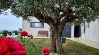 Modern Villa Anna with outdoor pool in Visnjan - 5