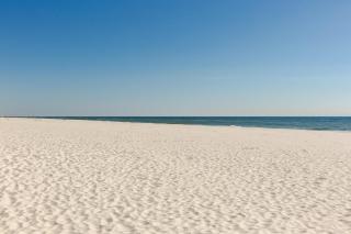Phoenix X Unit 602 - Orange Beach - 3
