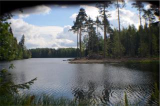 Vuoksi River Villa - 0