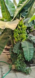 Gurukrupa Homestay, Pandharpur - 8