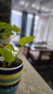 RUKH SUKH - Luxury Apartments - 5