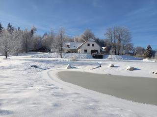 Ubytování U Bohouše - 9