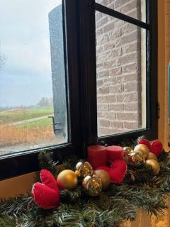 Bed & Breakfast Fort Bakkerskil - Nieuwendijk - 9