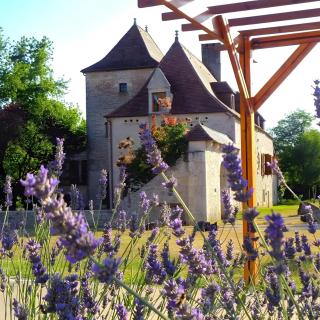 Domaine Du Terrou - 0