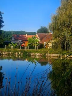 La Zibetterie Rock The Casa - 7