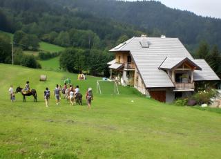 Gîte Au Pré De La Basse - 8