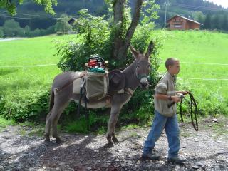 Gîte Chez Fanfoué - 5
