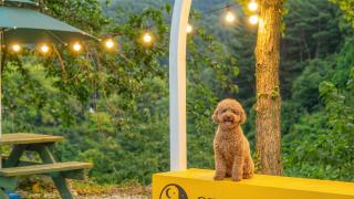 Gangneung Sinami68 Pension - 0