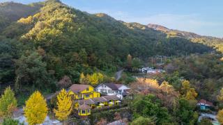 Gangneung Sinami68 Pension - 2