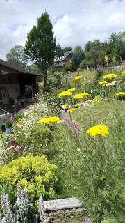 Ferienwohnung Zur Waldroute - 5