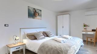 Rustic villa Pietro with panoramic view in Motovun - 4