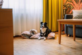 Hotel Auszeit St Lambrecht - 8