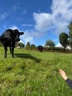 Hotel Bergfreiheit 7 - 4