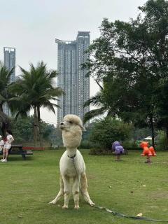 Haven Park Residence H1 15A06 - 1